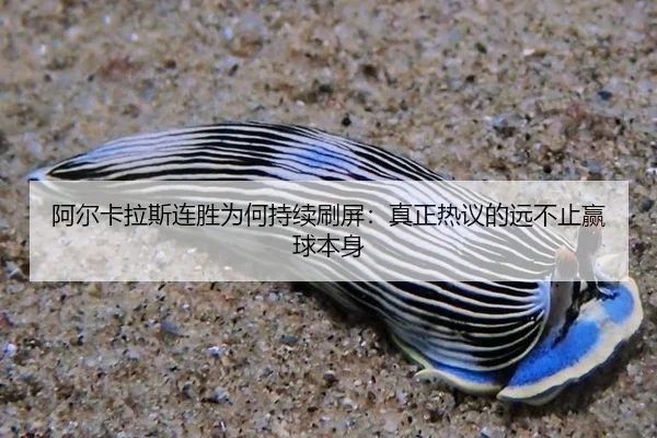 a-er-ka-la-si-lian-sheng-wei-he-chi-xu-shua-ping-zhen-zheng-re-yi-de-yuan-bu-zhi-ying-qiu-ben-shen-2-442.jpg
